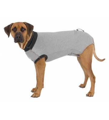 Body de protection pour chiens