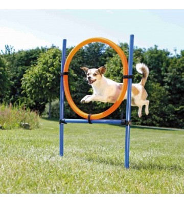 Fun Agility Anneau