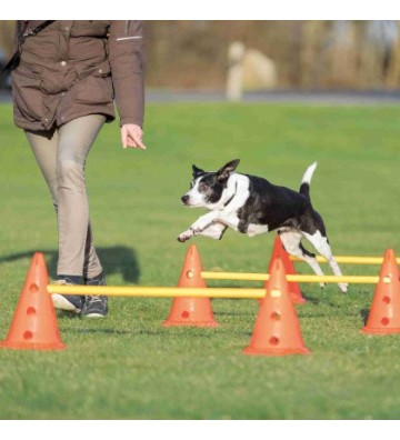 Set d'obstacles sur pylône