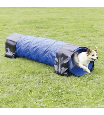 Mini Tunnel Fun Agility