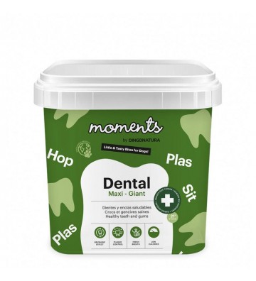 MOMENTS Dental maxi-giant...