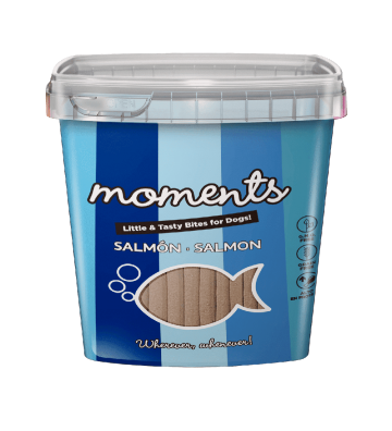 MOMENTS Stick saumon 600gr