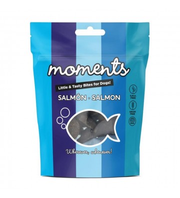 MOMENTS Saumon 60gr